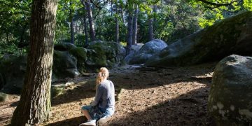 Discover The Benefits of Nature Therapy for Stress Reduction - Cover Image