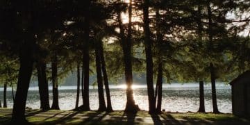 Discover the Benefits of Nature Therapy for Stress Reduction - Cover Image