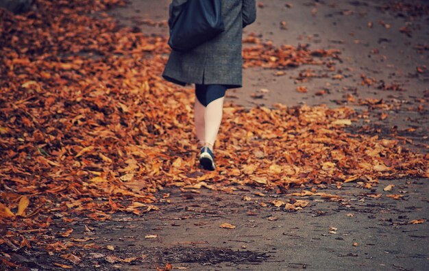 A close-up shot of feet walking on a path covered with fallen leaves in a forest. Sunlight filters through the canopy, creating dappled light on the path. The focus is on the texture of the leaves and the natural setting.
