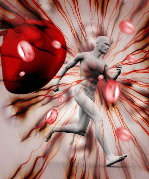 A close-up illustration depicting the autonomic nervous system, highlighting the sympathetic (fight-or-flight) and parasympathetic (rest-and-digest) branches, with anatomical labels and clear differentiation.