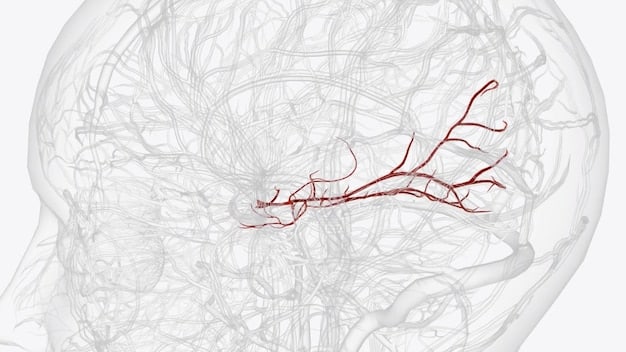 A medically accurate illustration of the vagus nerve, highlighting its path from the brainstem through the neck and chest, connecting to various organs like the heart, lungs, and digestive system. Include anatomical labels.